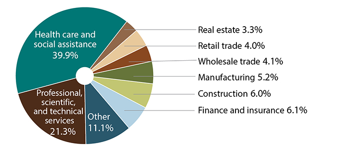 Cash balance plans by business type: health care and social assistance 39.9%; professional, scientific, and technical services 21.3%; other 11.1%; finance and insurance 6.1%; construction 6%; manufacturing 5.2%; wholesale trade 4.1%; retail trade 4%; real estate 3.3%