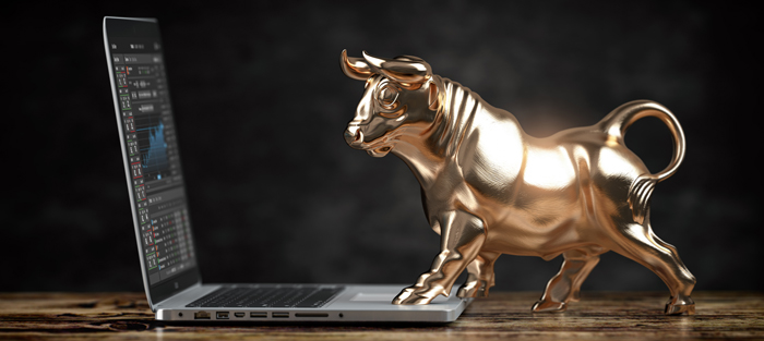 Bull Market