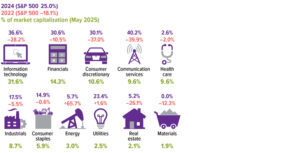 Market sectors were up 25% in 2024 and down 18.1% in 2022, with the following total returns for 2024 and 2022, respectively: communication services 40.2%/-39.9%; information technology 36.6%/-28.2%; financials 30.6%/-10.5%; consumer discretionary 30.1%/-37.0%; utilities 23.4%/1.6%; industrials 17.5%/-5.5%; consumer staples 14.9%/-0.6%; energy 5.7%/65.7%; real estate 5.2%/-26.1%; health care 2.6%/-2.0%; and materials 0.0%/-12.3%. Percentage of market capitalization in May 2025: information technology 31.6%; financials 14.3%; consumer discretionary 10.6%; communication services 9.6%; health care 9.6%; industrials 8.7%; consumer staples 5.9%; energy 3.0%, utilities 2.5%; real estate 2.1%; and materials 1.9%.
